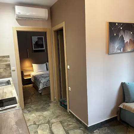 ゲストハウス Haus Viktoria 4 タソス