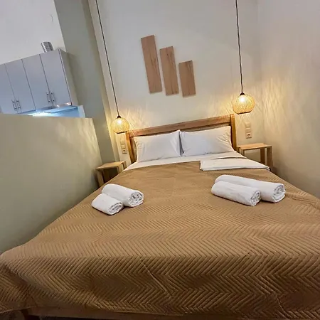 Haus Viktoria 4 لايميناس